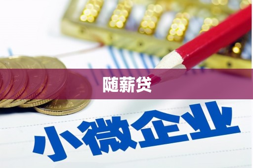 松山随薪贷