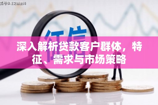松山深入解析贷款客户群体，特征、需求与市场策略