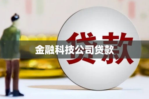 松山金融科技公司贷款