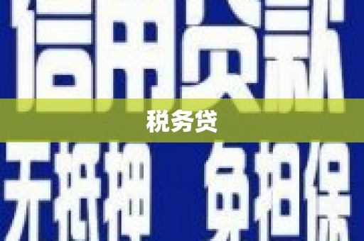 松山税务贷