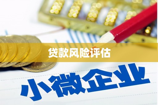 松山贷款风险评估