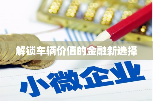 松山解锁车辆价值的金融新选择