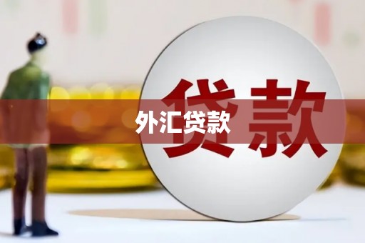 松山外汇贷款