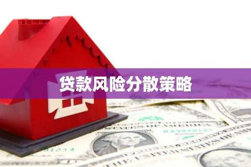 松山贷款风险分散策略