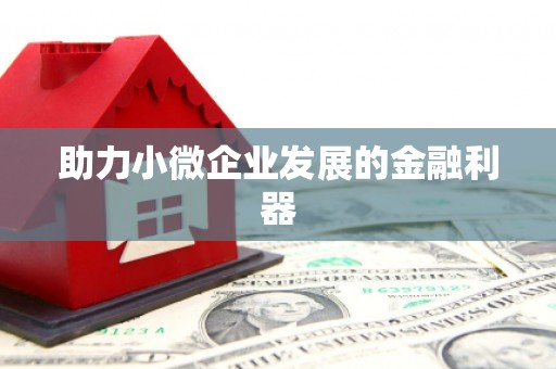 松山助力小微企业发展的金融利器