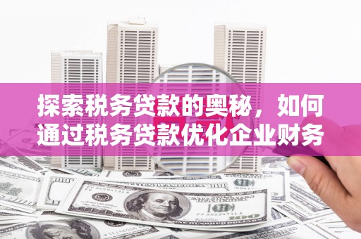 松山探索税务贷款的奥秘，如何通过税务贷款优化企业财务