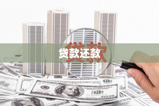 松山贷款还款