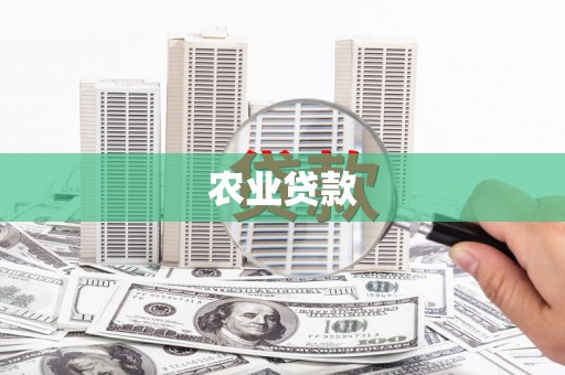 松山农业贷款