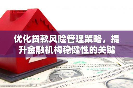 松山优化贷款风险管理策略，提升金融机构稳健性的关键