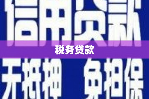 松山税务贷款