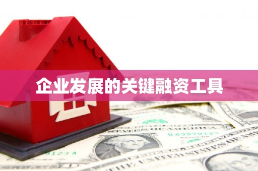 松山企业发展的关键融资工具
