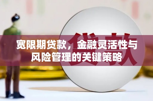 松山宽限期贷款，金融灵活性与风险管理的关键策略