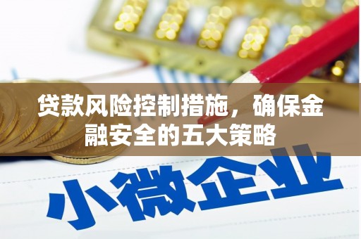 松山贷款风险控制措施，确保金融安全的五大策略