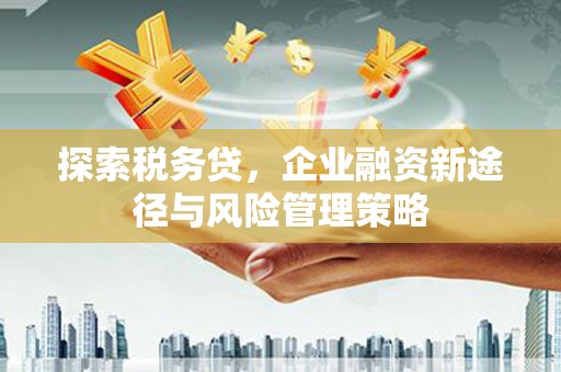松山探索税务贷，企业融资新途径与风险管理策略