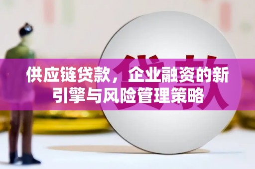 松山供应链贷款，企业融资的新引擎与风险管理策略