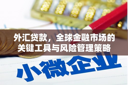 松山外汇贷款，全球金融市场的关键工具与风险管理策略