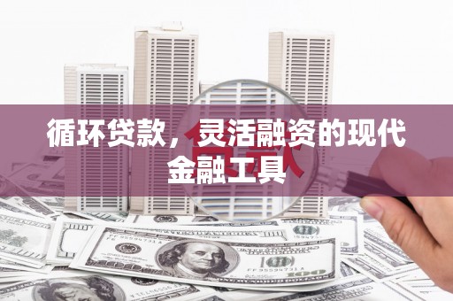 松山循环贷款，灵活融资的现代金融工具