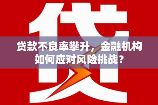 松山贷款不良率攀升，金融机构如何应对风险挑战？