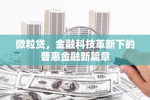 松山微粒贷，金融科技革新下的普惠金融新篇章