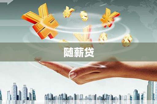 松山随薪贷
