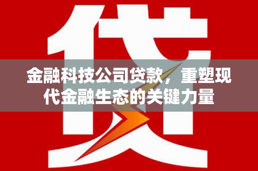松山金融科技公司贷款，重塑现代金融生态的关键力量