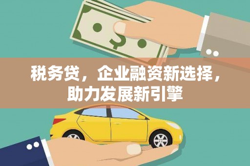 松山税务贷，企业融资新选择，助力发展新引擎