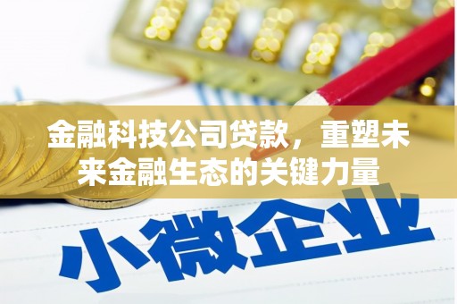松山金融科技公司贷款，重塑未来金融生态的关键力量