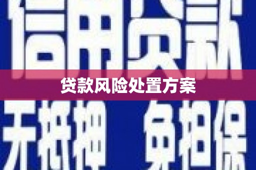 松山贷款风险处置方案