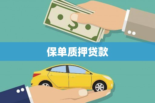 松山保单质押贷款