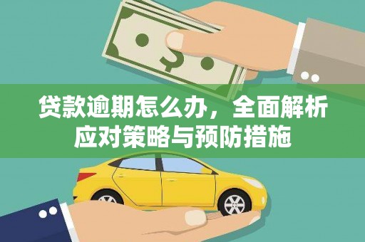 松山贷款逾期怎么办，全面解析应对策略与预防措施