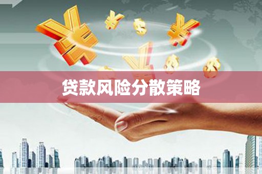 松山贷款风险分散策略