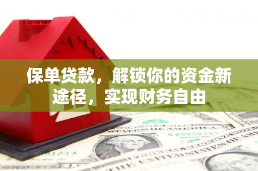 松山保单贷款，解锁你的资金新途径，实现财务自由