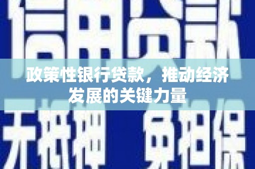 松山政策性银行贷款，推动经济发展的关键力量
