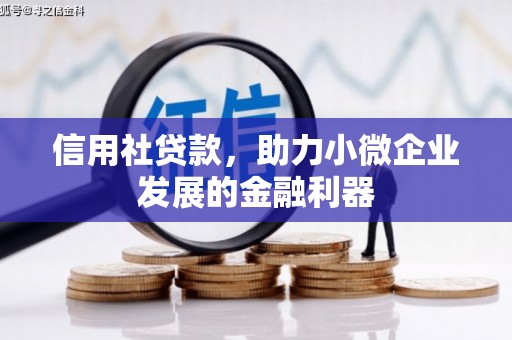 松山信用社贷款，助力小微企业发展的金融利器