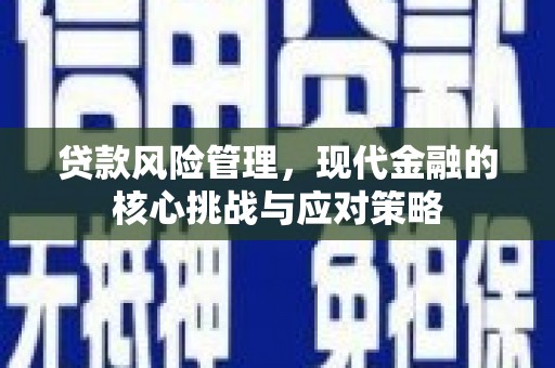 松山贷款风险管理，现代金融的核心挑战与应对策略