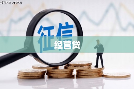 松山经营贷