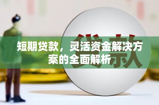 松山短期贷款，灵活资金解决方案的全面解析