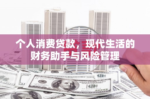 松山个人消费贷款，现代生活的财务助手与风险管理