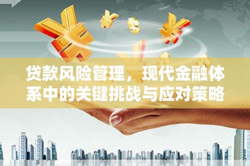 松山贷款风险管理，现代金融体系中的关键挑战与应对策略