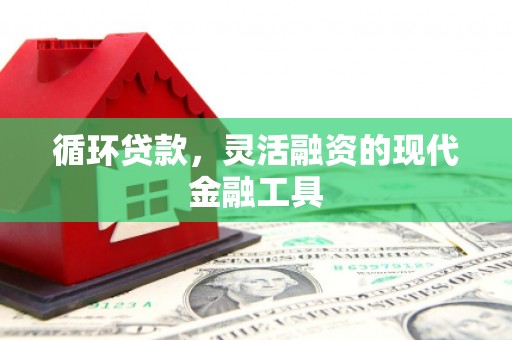 松山循环贷款，灵活融资的现代金融工具