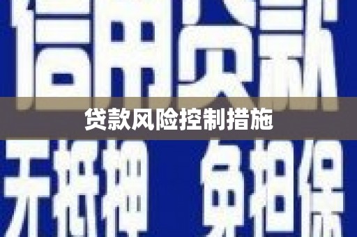 松山贷款风险控制措施