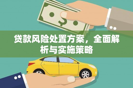 松山贷款风险处置方案，全面解析与实施策略