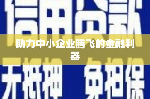 松山助力中小企业腾飞的金融利器