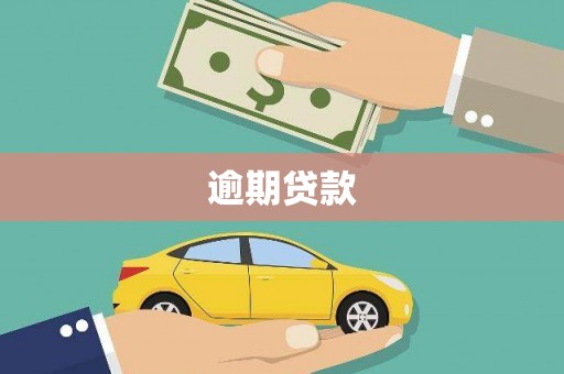 松山逾期贷款